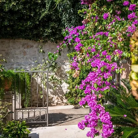 Seaview 10 Min To The Old Town * Dubrovnik